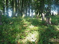 Marijampolė