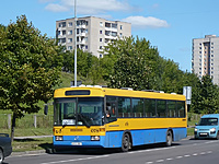 P1070921
