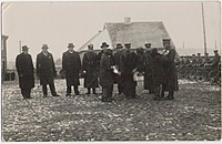 Kalvarija