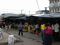 A13 20090912 035