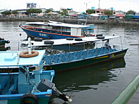 CIMG0052