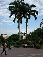 CIMG0005