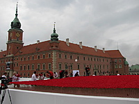IMG 3259 resize