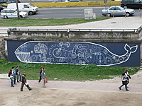 IMG 3305 resize