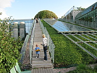 IMG 3353 resize