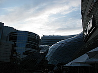 IMG 3389 resize