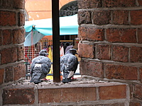 IMG 3476 resize