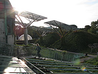 IMG 3648 resize