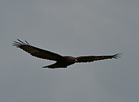 CIMG0022