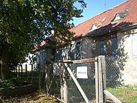Sankt Petetergurgas(kanalais) 090808 083
