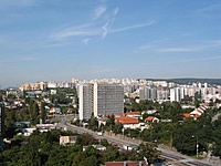 IMG 7008