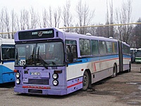 Carrus