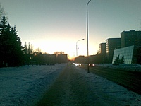 20100113041
