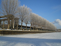 Klaipeda Dange 20100115 029