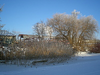 Klaipeda Dange 20100115 070