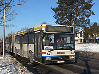 P1100384