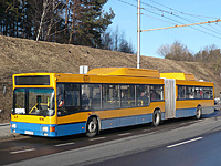 P1110904