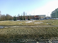 20100312194