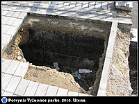 Potvynis Vyžuonos parke