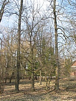 Žagarės dvaras