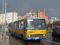 P1130014