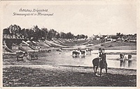 Marijampolė Pašešupys