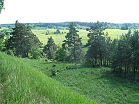 Rudaminos piliakalnis