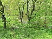 Jundeliškių dvaras