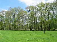 Jundeliškių dvaras