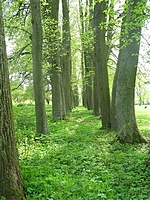 Jundeliškių dvaras