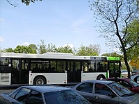 HPIM7600