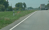 P1100719 karve