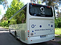 Bamdomasis 7