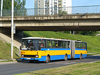 P1140173