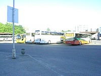 DSC05944