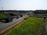 IMGP0653a