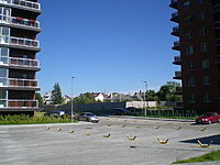 kvartalas  2010 06 15 044