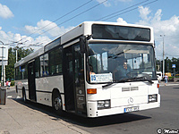 P1150319