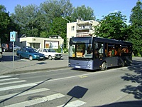DSC06441