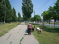 Mariupolis 2010 07 037