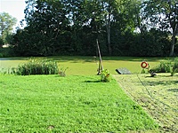 Vyžuonų dvaras