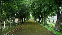 P1120763