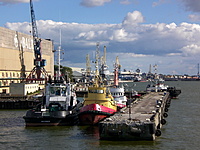 Kruzenstern Klaipedoje 2010 09 05 037