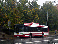 P1150905 b
