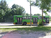 DSC06311
