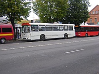 DSC08619