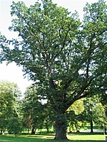 Paežerių dvaras