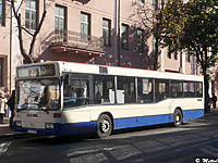 P1150996 1