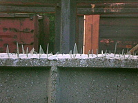 Mariupolis Minskas 2010 07 13 14 047