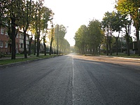 Picture 011 (Medium)